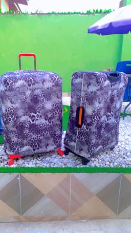 Luggage cover
